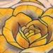Tattoos - yellow rose - 62748